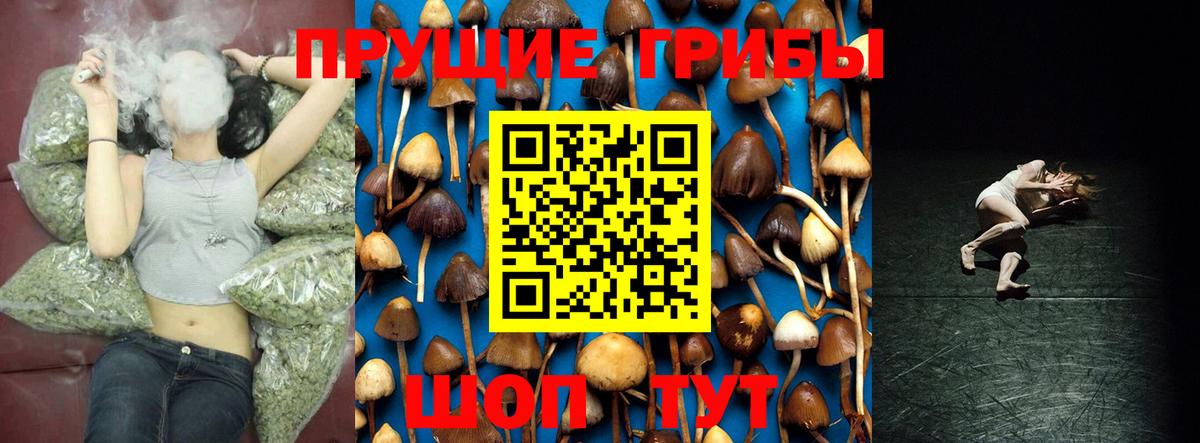 Галлюциногенные грибы Psilocybine cubensis  Вход с VPN  Амурск 